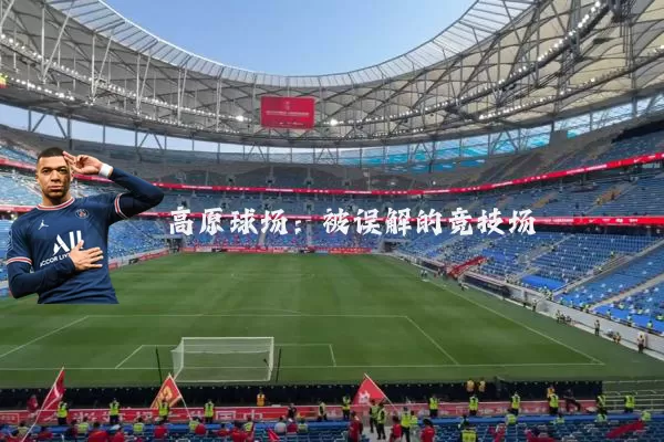 高原球场:被误解的竞技场