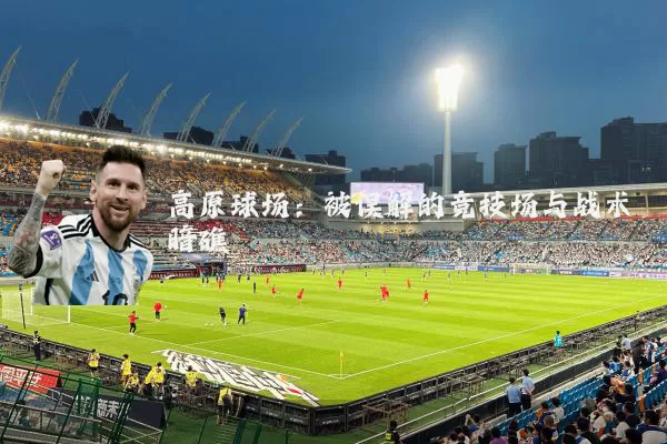 高原球场:被误解的竞技场与战术暗礁